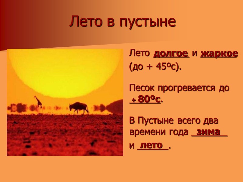 Лето в пустыне    Лето _______ и _______    (до